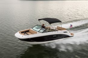 Sea Ray SDX 250