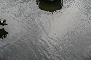 Bayliner M-17