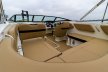 Sea Ray SPX 210 Outboard