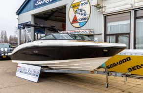 Sea Ray SPX 210 Outboard