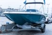 Bayliner M-17
