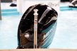 Sea Ray SPX 190 Outboard