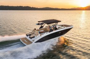 Sea Ray SDX 290