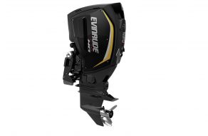 Evinrude E-tec G2 200 high output