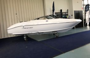 FIBRAFORT + SUZUKI 60 PK Style 160 Bowrider