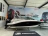 Sea Ray SPX 190 Outboard