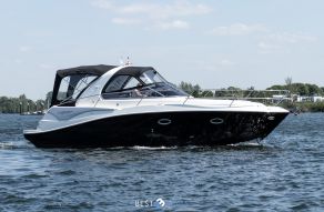 Viper 303