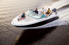 Robalo Dual Console R207