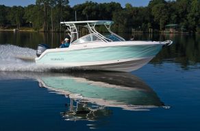 Robalo Dual Console R247