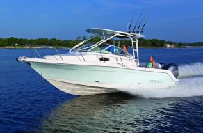Robalo Walkarounds R265