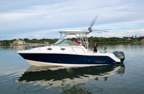 Robalo Walkarounds R305