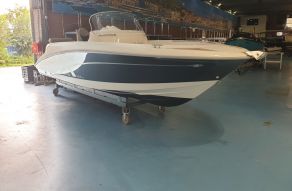 Prins 616 Navigator met Mercury 80 pk