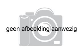 Zodiac Yachtline 400 met Mercury 40 pk!