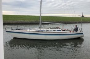 Luffe 37