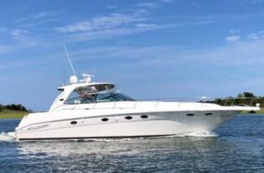 Sea Ray 460