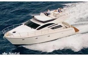 Rodman Muse 44