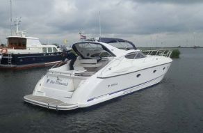 Neptunus S41 Carlton