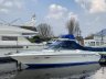 Sea Ray 260