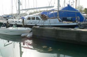 Jongert Reproduction Like Trewes 59