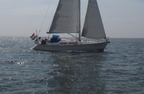 Comfortina 35