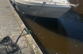 Rinker Fiesta Vee 340