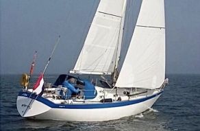 FORGUS 31