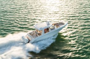 Boston Whaler 350 Realm