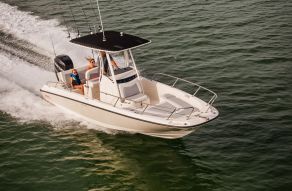 Boston Whaler 240 Dauntless