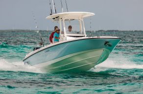Boston Whaler 270 Dauntless