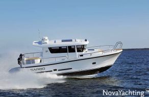 Sargo 31