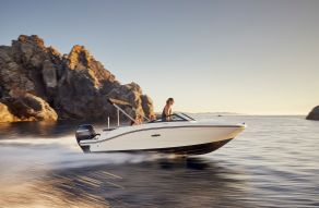 Sea Ray SPX 190 Outboard
