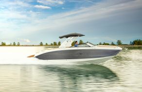 Sea Ray SDX 290
