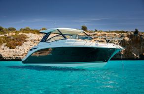 Sea Ray Sundancer 320