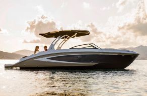 Sea Ray SDX 270