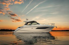 Sea Ray Sundancer 320