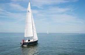 Damarin D-Sailer 23