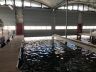 Schiphuis Heeg Icl. Omgebouwde Garage Tot Luxe Zit-slaap Vertrek.