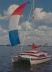 Patterson Catamaran Startwins 31 HT