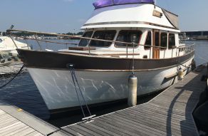 Ocean Marine Trawler 42