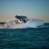 Tesoro T38 Cruiser