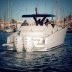 Tesoro T38 Cruiser