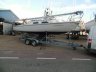 Shark 24