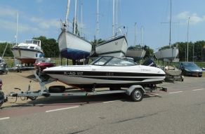 Campion Allante S485