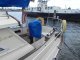 Fjord 33 MS