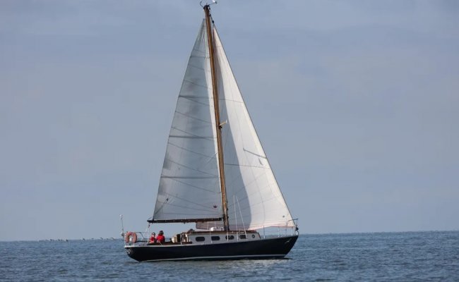 Blauwvoet Custom Steel 10 Meter, Zeiljacht for sale by At Sea Yachting
