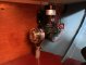 Blauwvoet Custom Steel 10 Meter