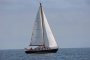 Blauwvoet Custom Steel 10 Meter