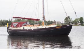 Danish Rose 33