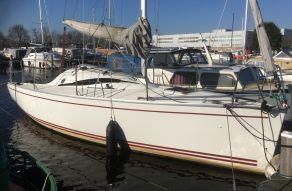 Delphia 26
