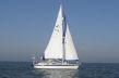 Hallberg Rassy 36 Hallberg Rassy 36